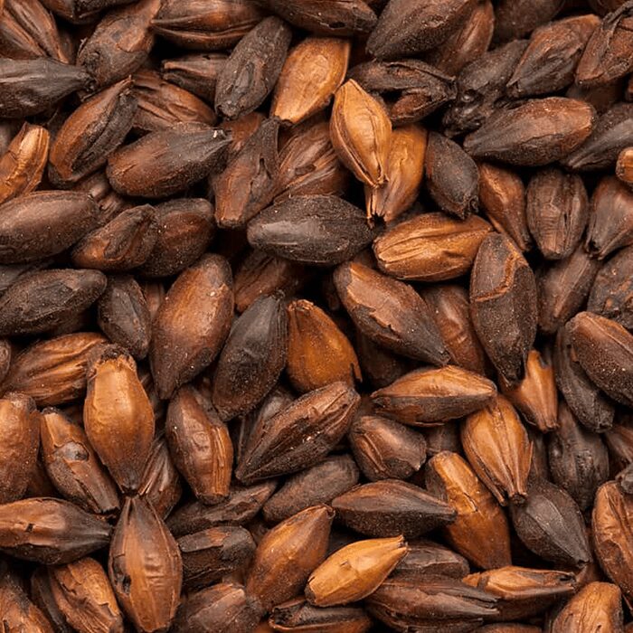 BESTMALZ BEST Chocolate Malt – Milled