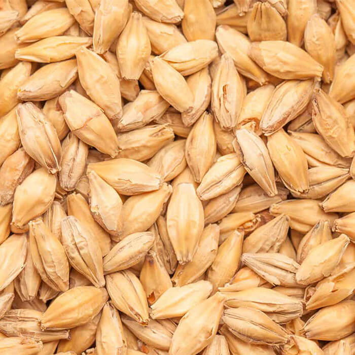 BESTMALZ BEST Vienna Malt – Milled