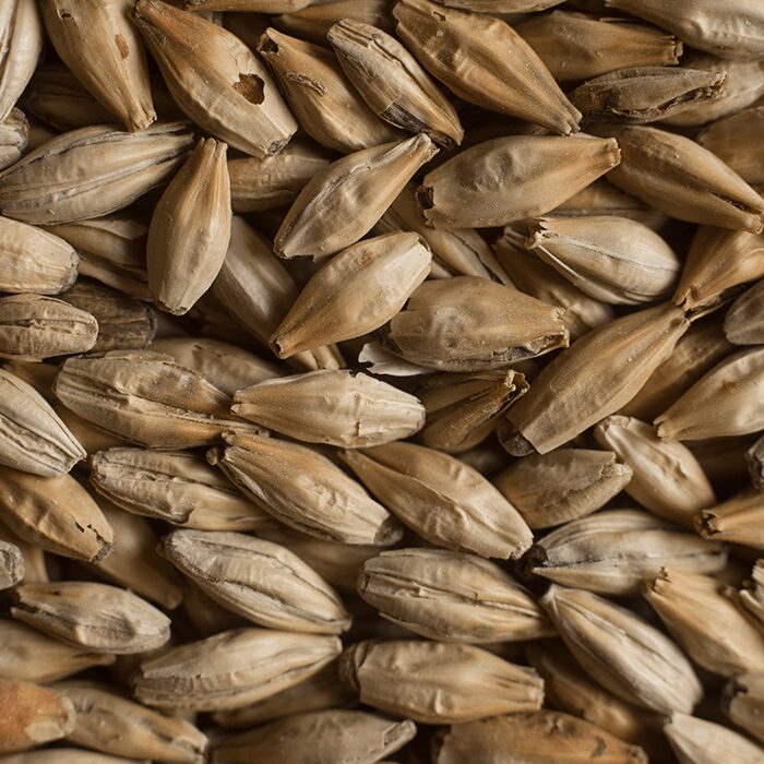 Castle Malting® Château Crystal® – Milled