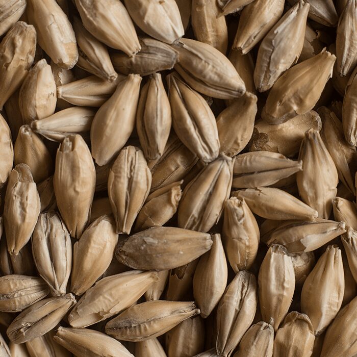 Castle Malting® Château Pilsen – Milled
