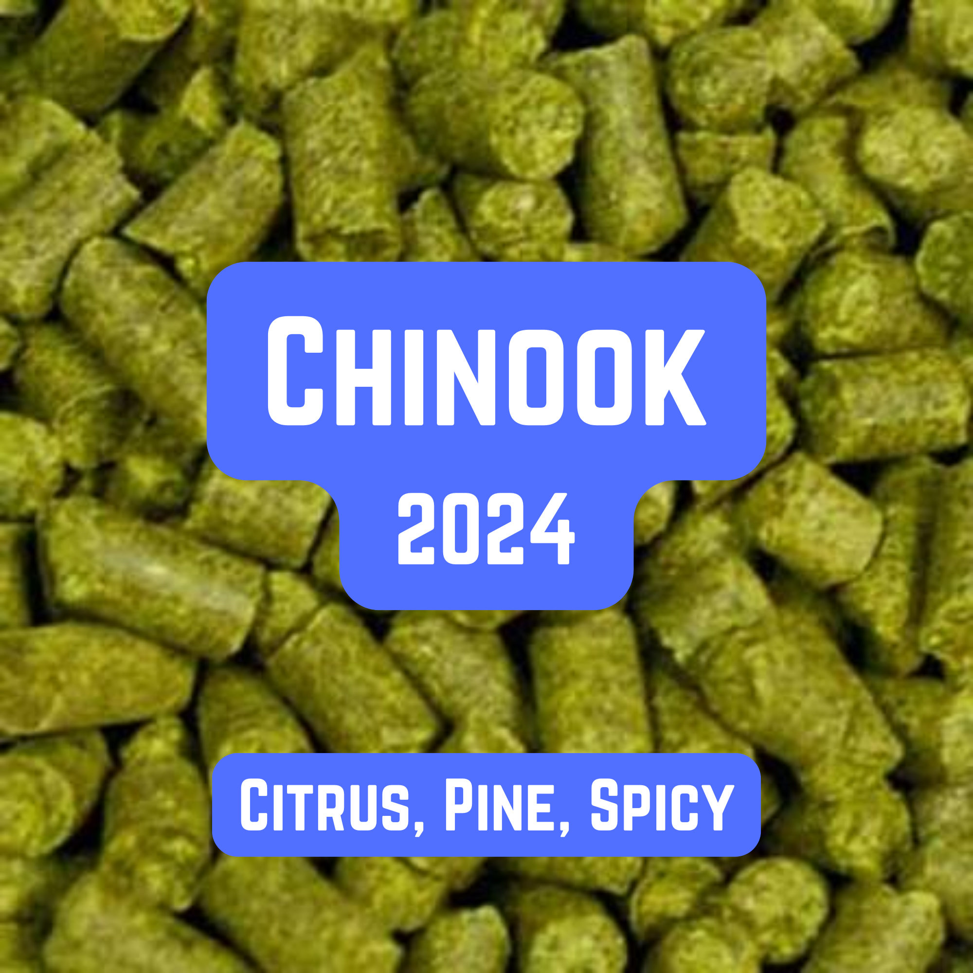 Chinook Hop Pellets 100g