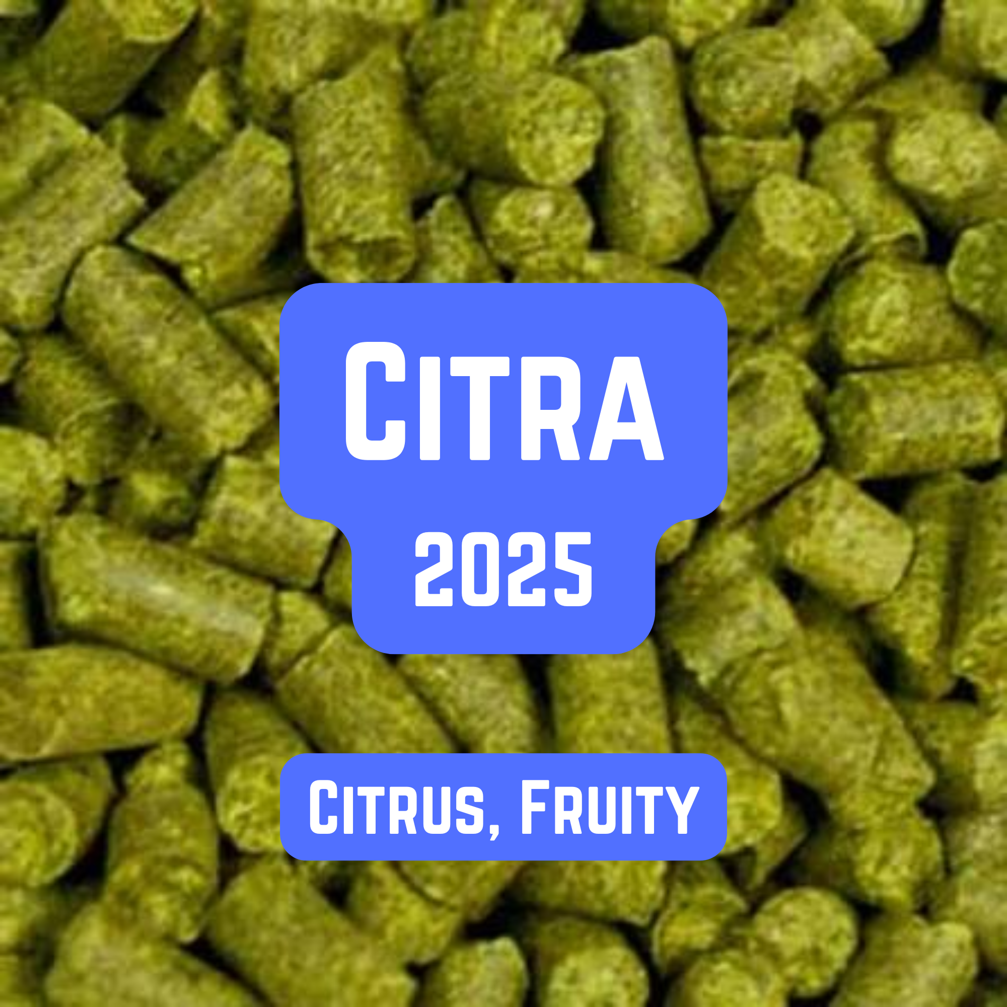 Citra Hop Pellets 100g