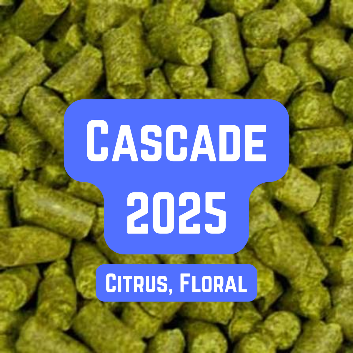 Cascade Hop Pellets 100g
