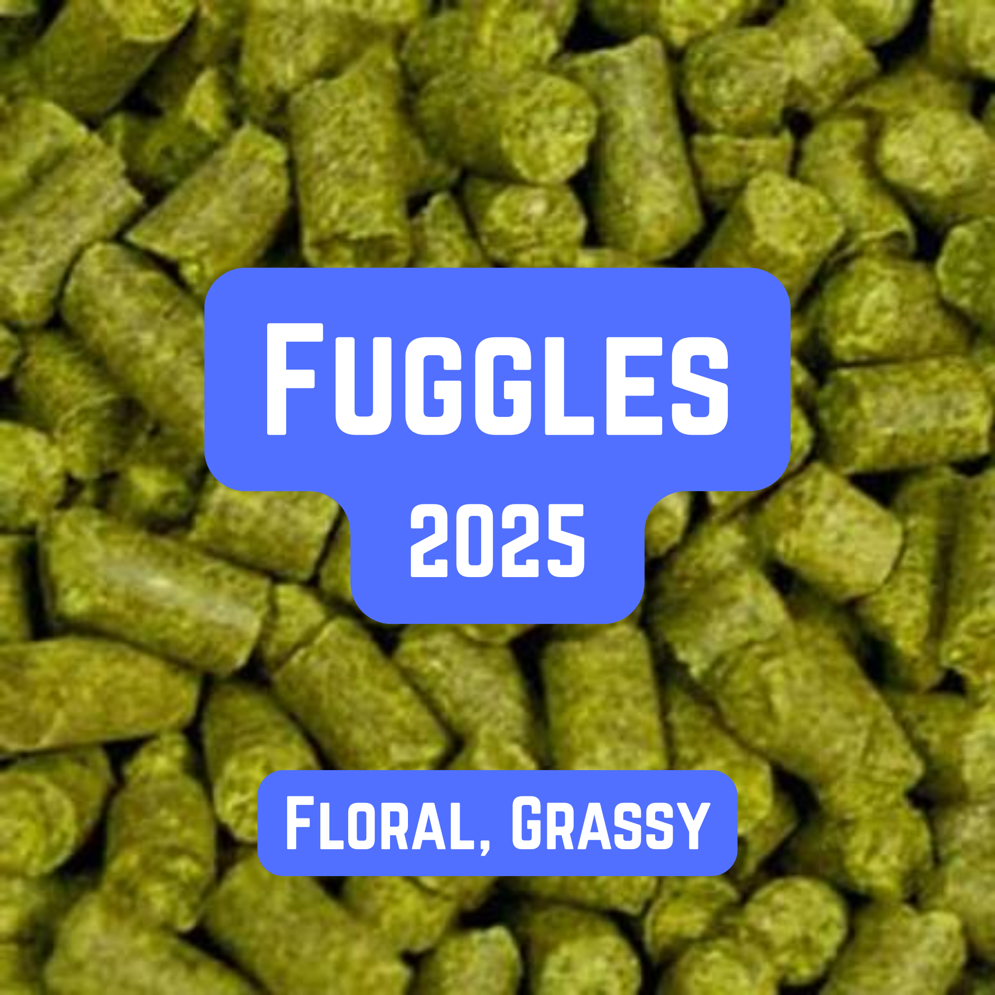 Fuggles Hop Pellets 100g