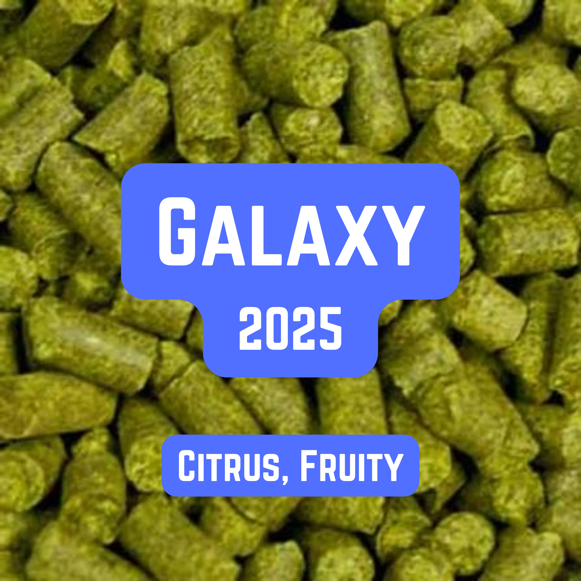 Galaxy Hop Pellets 100g