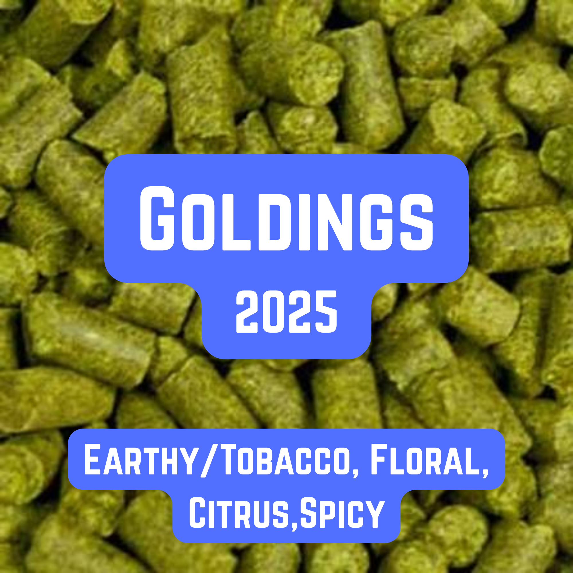 Goldings Hop Pellets 100g