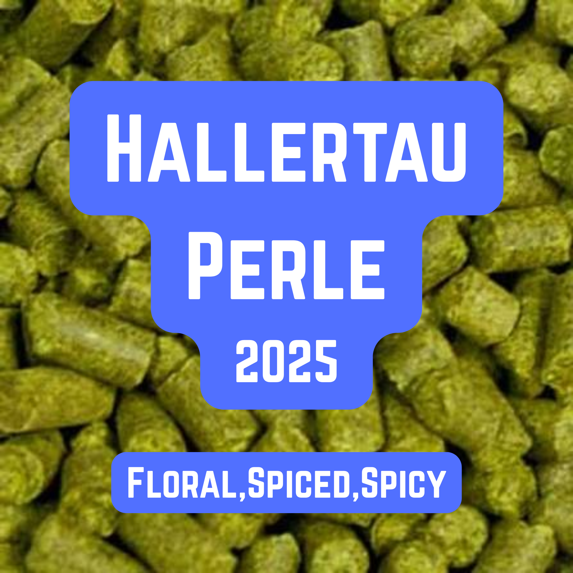 Hallertau Perle Hop Pellets 100g