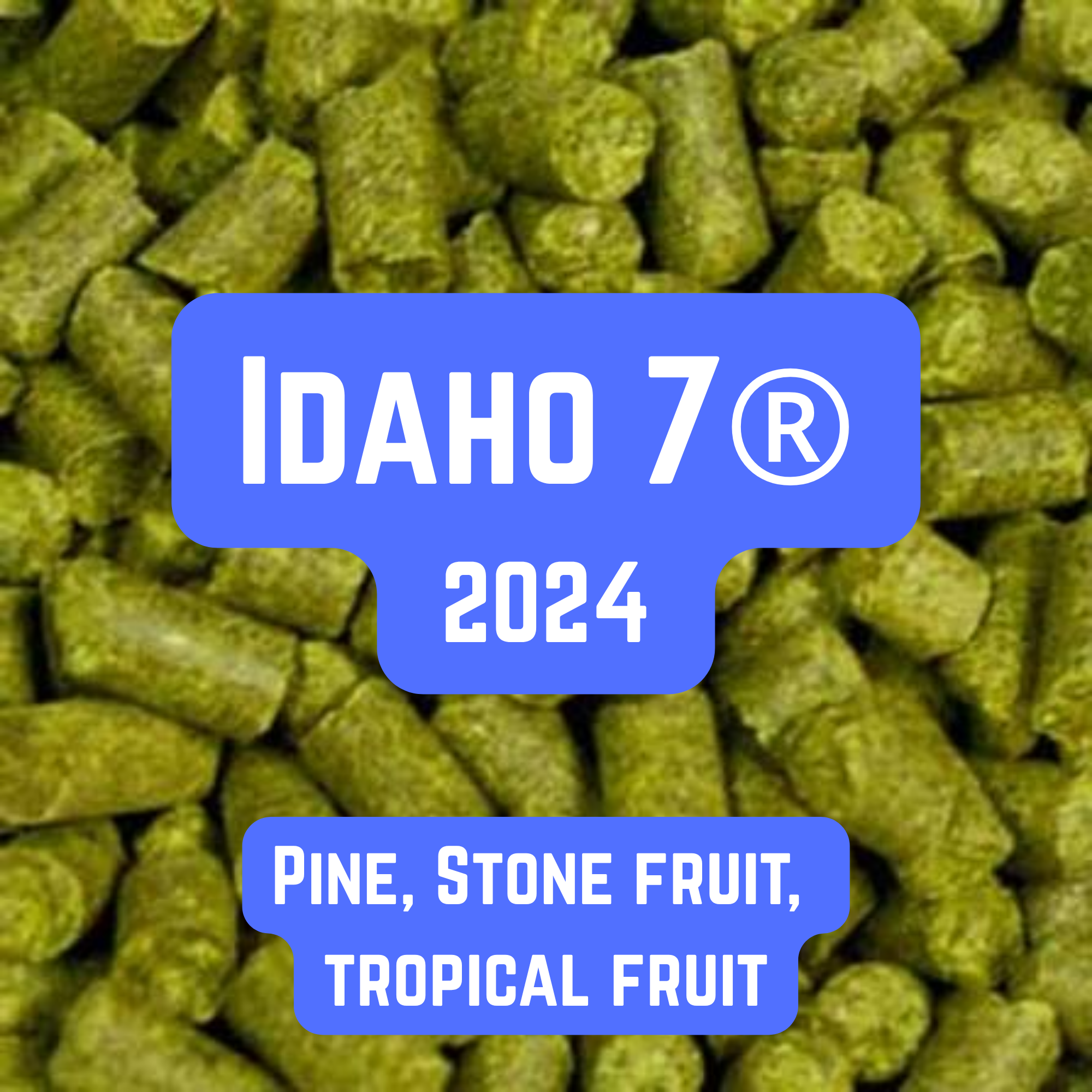 Idaho 7 Hop Pellets 100g