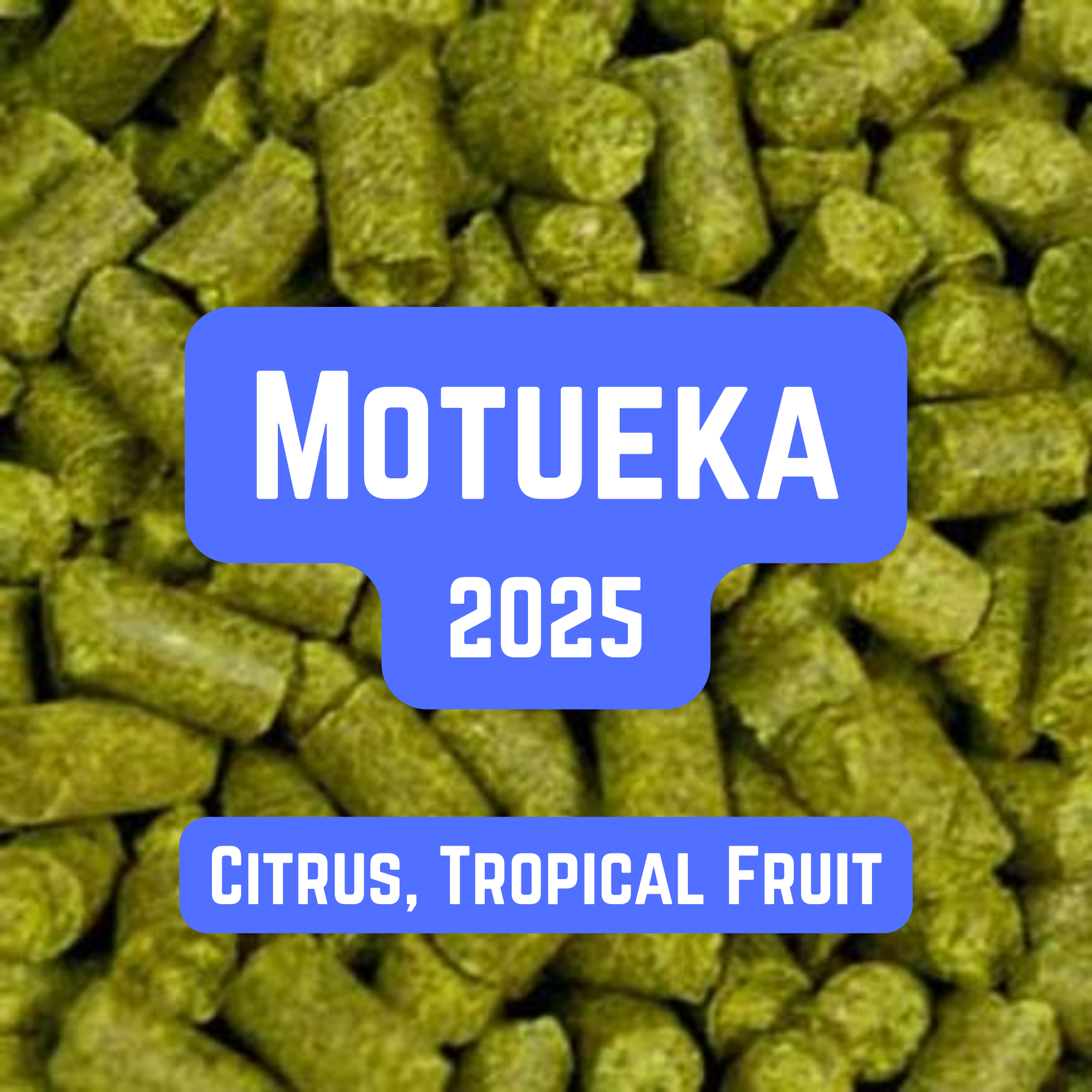 Motueka Hop Pellets 100g