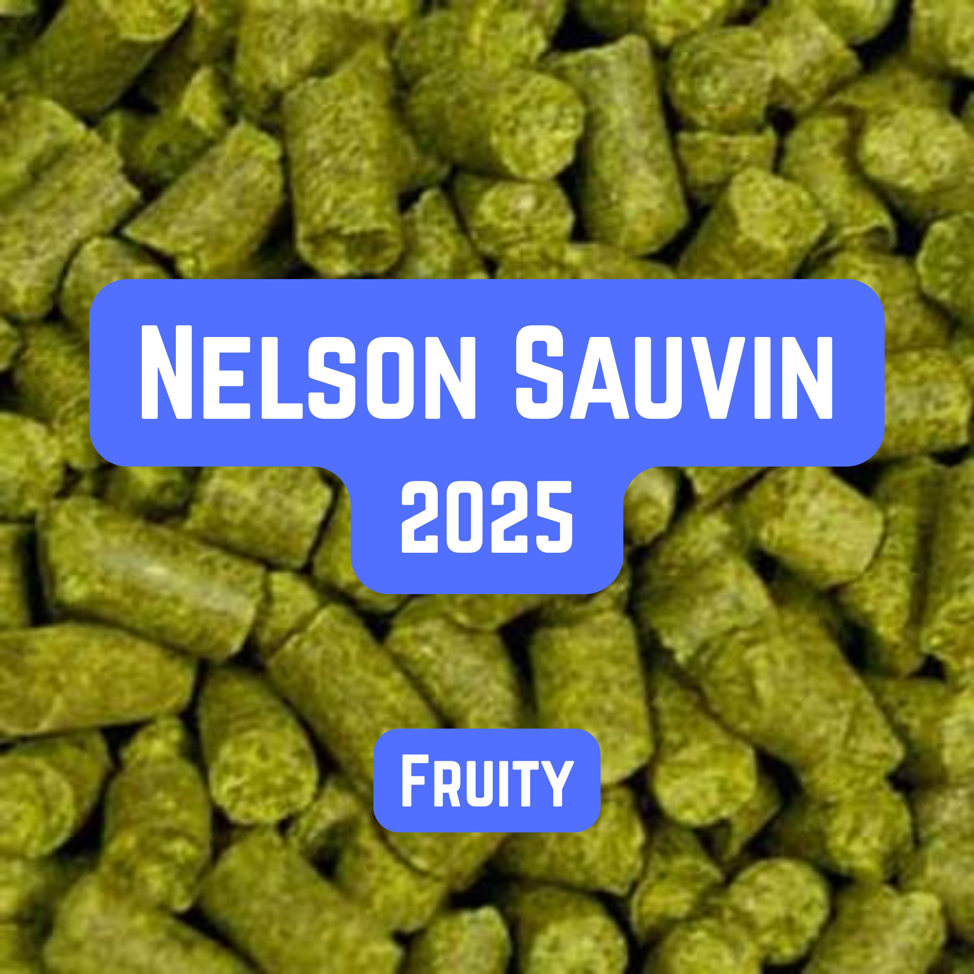 Nelson Sauvin Hop Pellets 100g