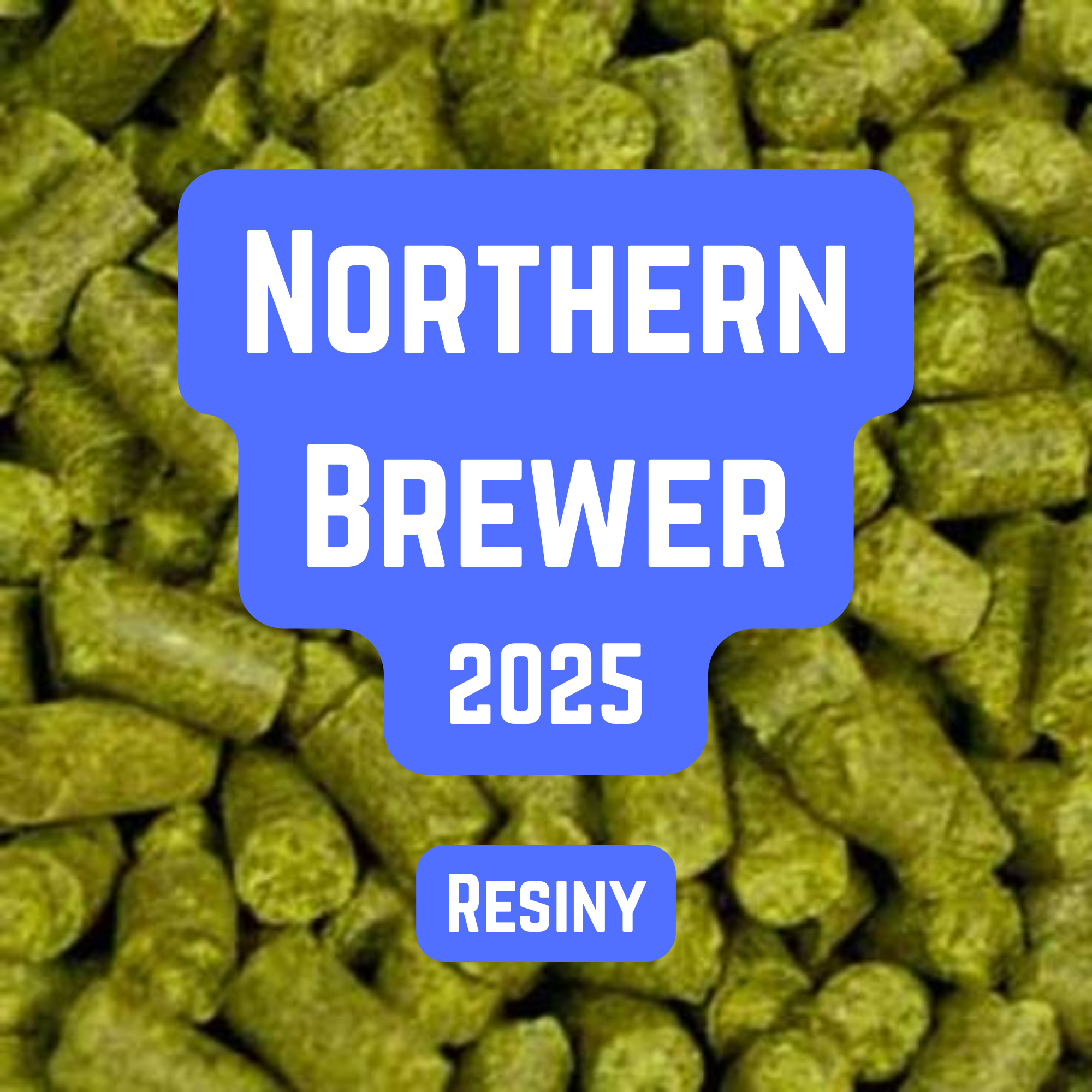 Northern Brewer Hop Pellets 100g