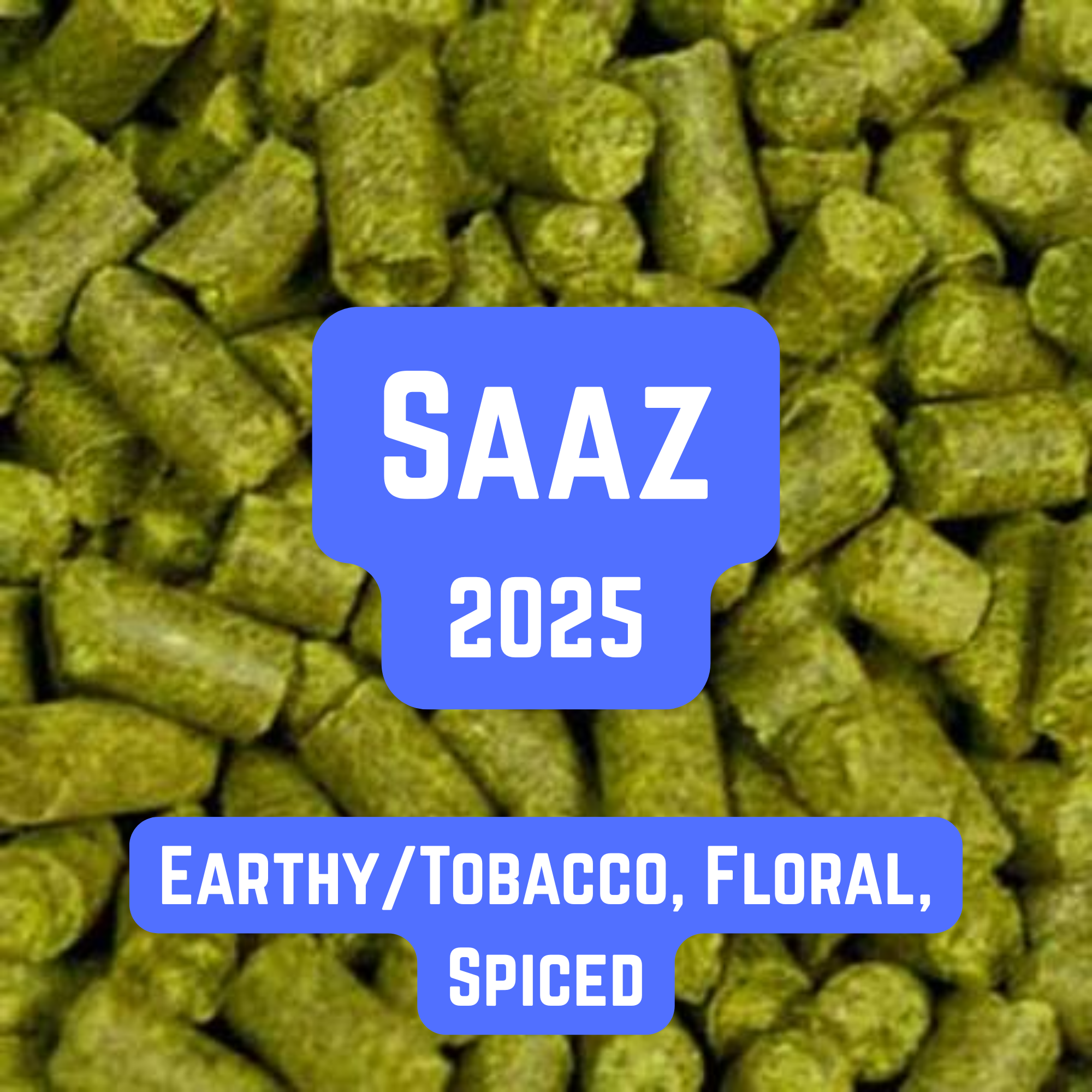 Saaz Hop Pellets 100g